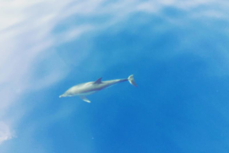 Escursione in barca Itaca e Cefalonia 04