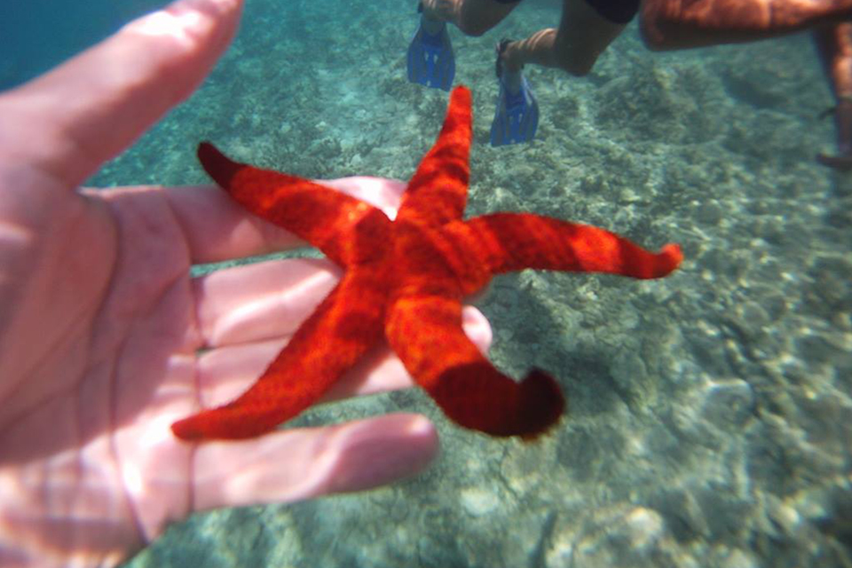 Escursione in barca Itaca e Cefalonia 05