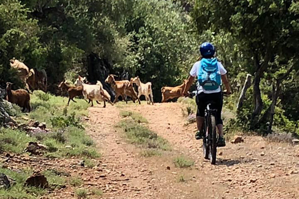 Escursione in eBike a Cefalonia 04