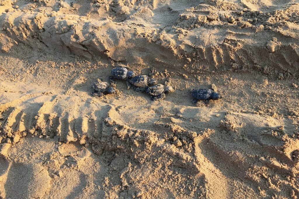 la-spiaggia-di-Megali-Ammos-05